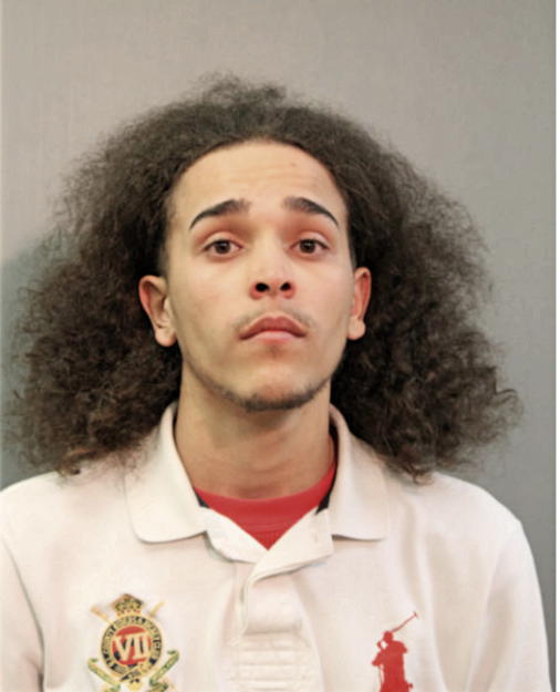 LUIS FONSECA, Cook County, Illinois