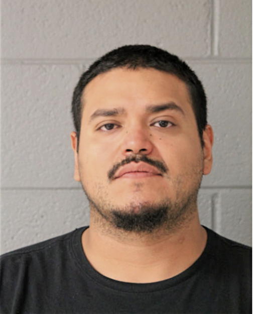 RODOLFO FREEMAN, Cook County, Illinois