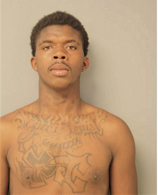CARL T GARNER, Cook County, Illinois