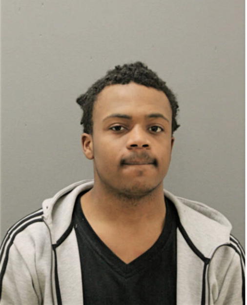 SEAN L KING, Cook County, Illinois