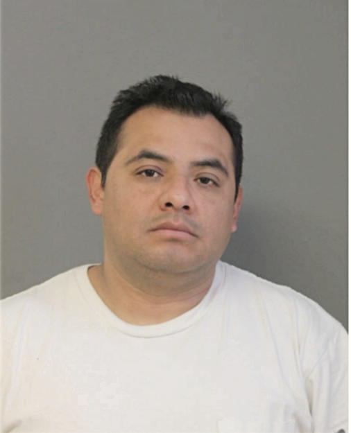 JOSE L LAGUNA, Cook County, Illinois