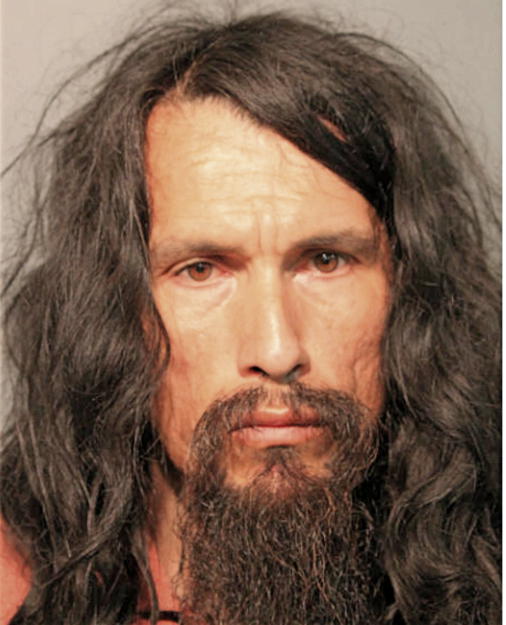 SEBASTIAN LEVY, Cook County, Illinois