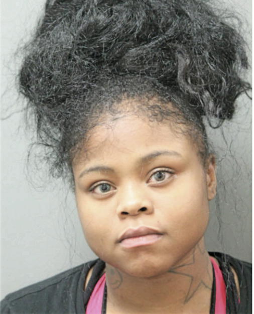 BRIANA LEWIS, Cook County, Illinois