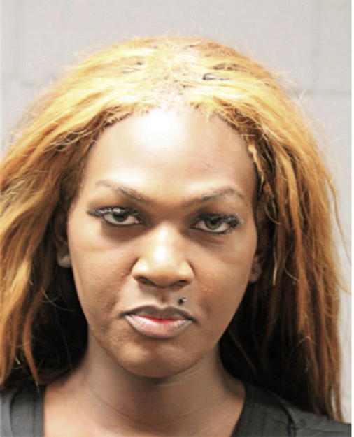 KANIYAH S LEWIS, Cook County, Illinois