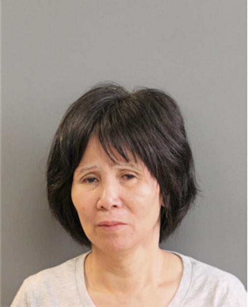 AIRONG LI, Cook County, Illinois