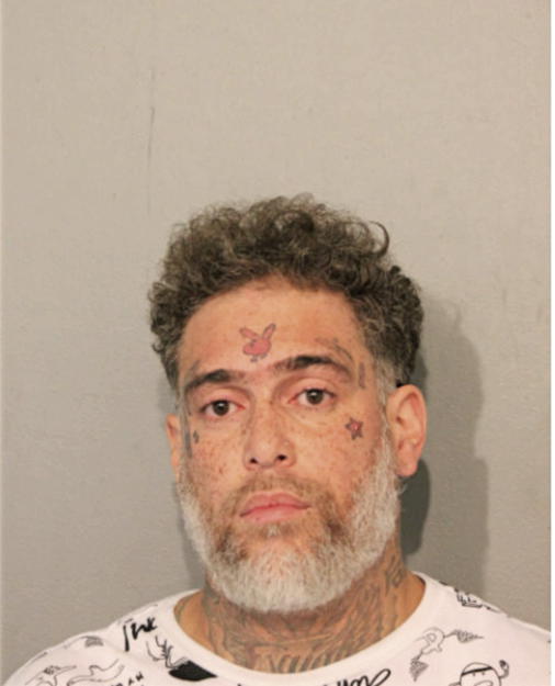 LESLEY LOFTON, Cook County, Illinois