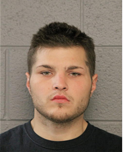 DAVID A LOHMAR, Cook County, Illinois