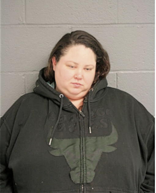 MEGAN K MCCARTHY, Cook County, Illinois