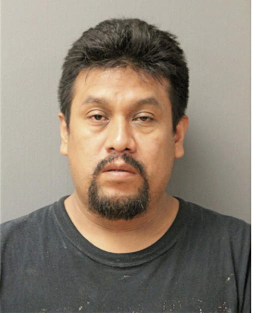 HUGO MENDOZA, Cook County, Illinois