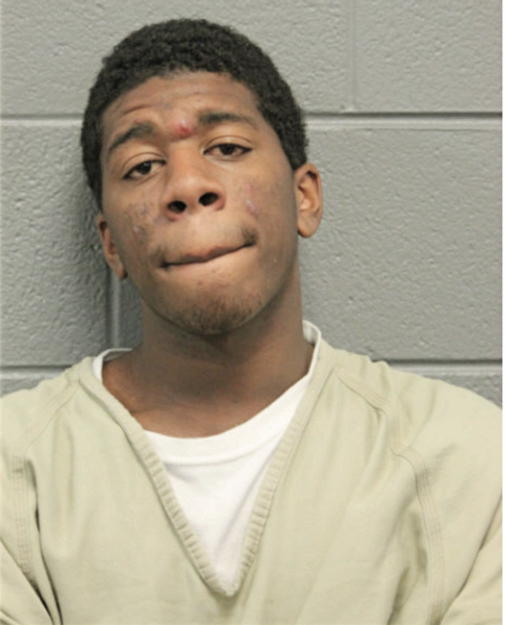 KENNETH W MERRITT, Cook County, Illinois
