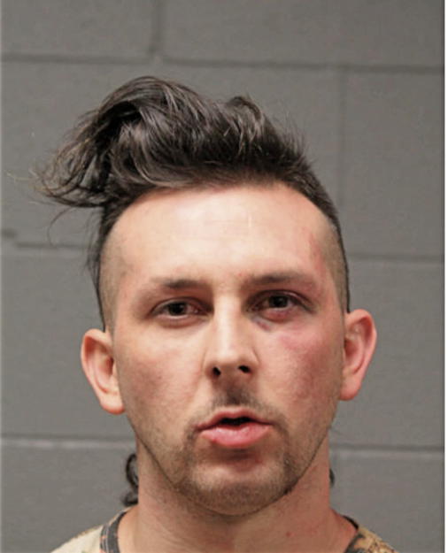 PAUL J PIENCAK, Cook County, Illinois