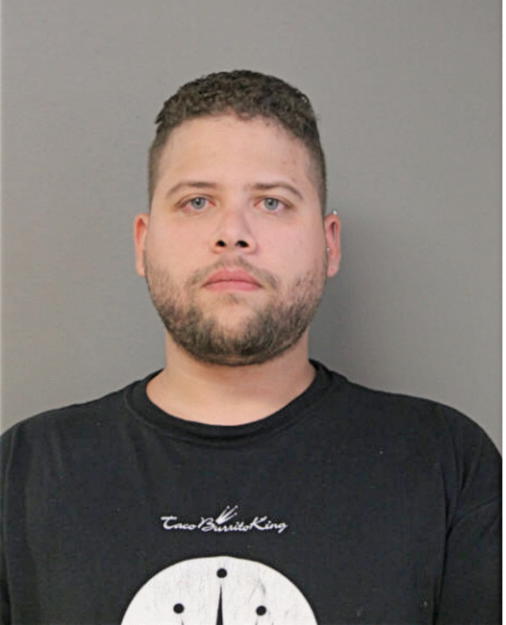 JERAMIE T RIVERA, Cook County, Illinois