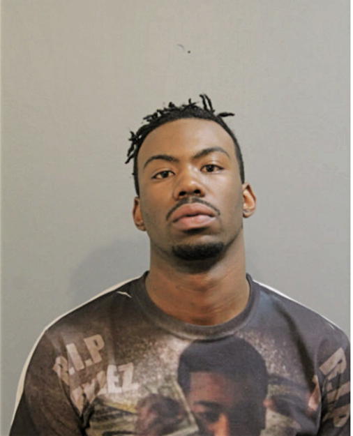 LANCE W ROBINSON, Cook County, Illinois