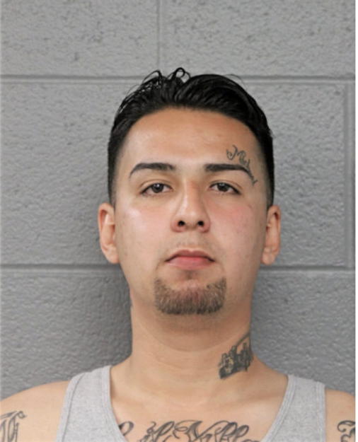 ROBERT M ROMO, Cook County, Illinois