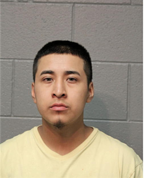 ARMANDO SALGADO, Cook County, Illinois