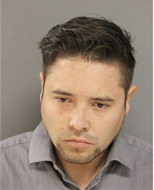 ERIC ALANIS, Cook County, Illinois