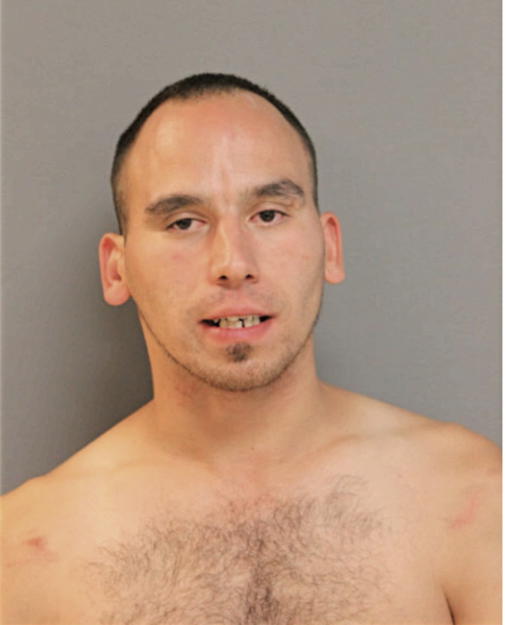 NICHOLAS ANDERSON, Cook County, Illinois