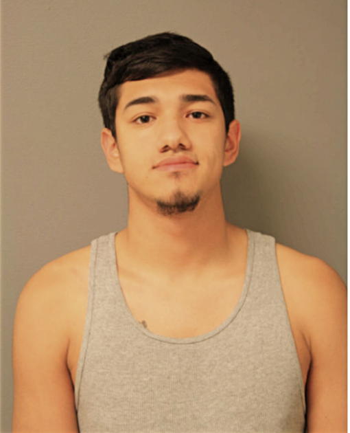 ANDREW T ARREDONDO, Cook County, Illinois