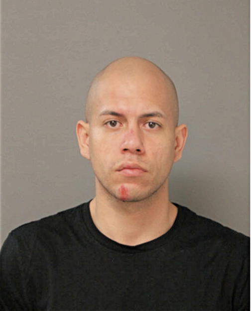 GONZALO L BILBAO, Cook County, Illinois