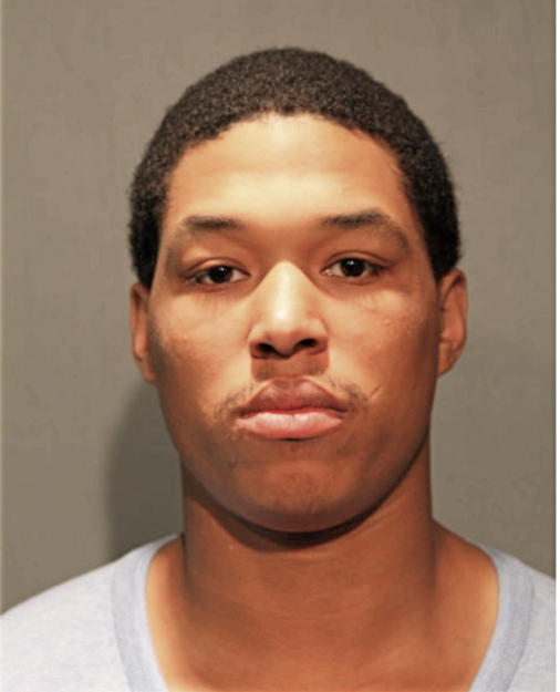ROBERT B BOWMAN, Cook County, Illinois