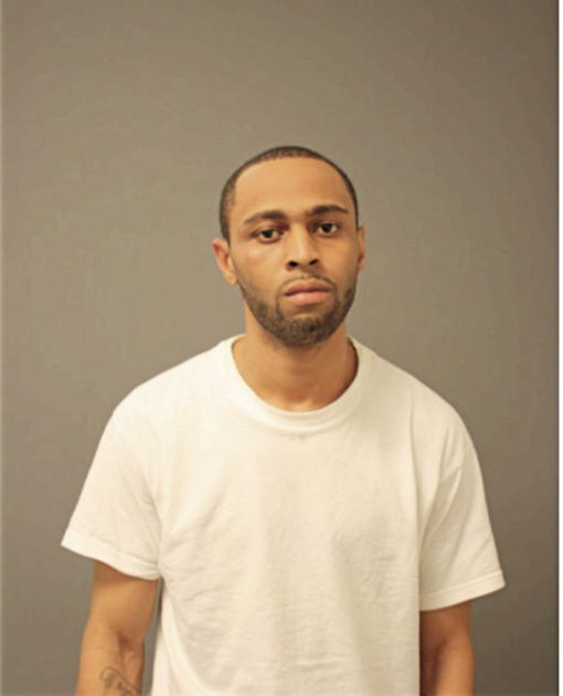 SEAN A BROWN, Cook County, Illinois