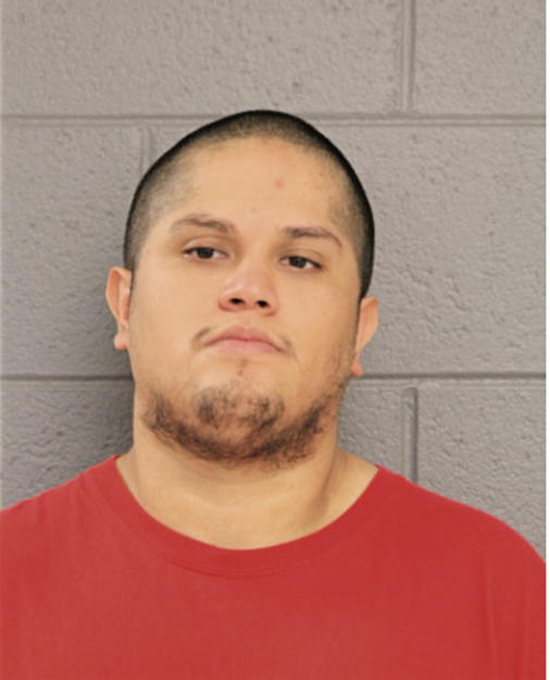 LUIS E CAMARGO, Cook County, Illinois