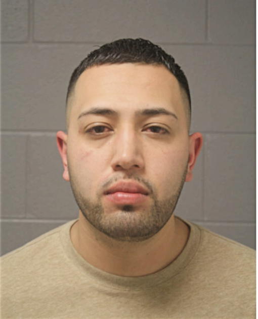CARLOS I CORRALES, Cook County, Illinois