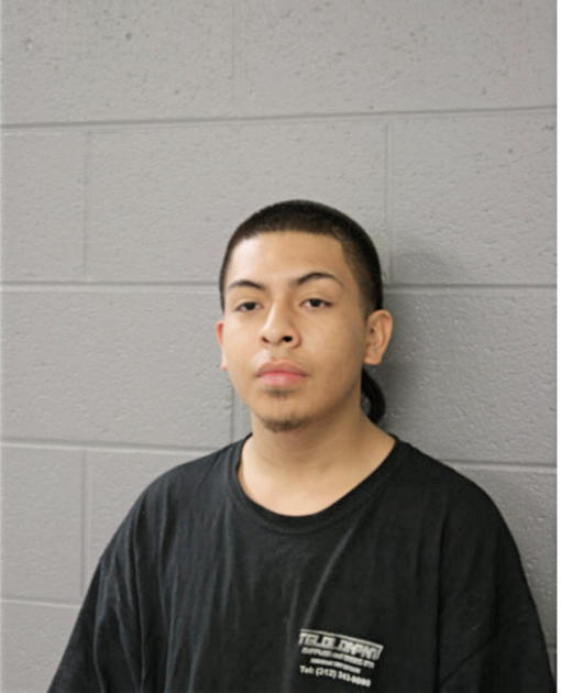 ERWIGN DELGADO, Cook County, Illinois