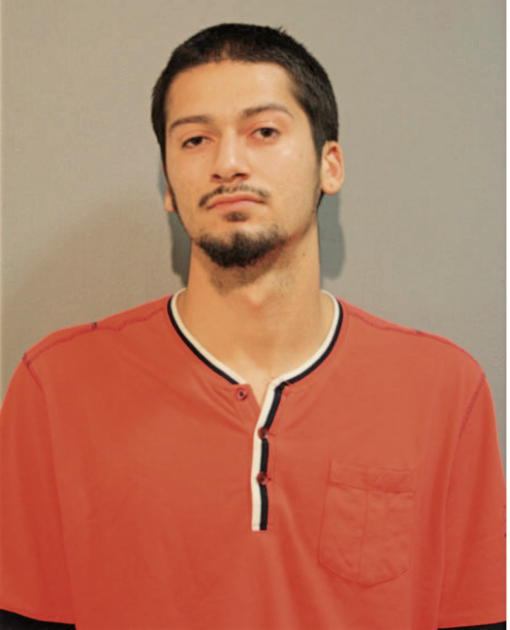 RICARDO A FLORES, Cook County, Illinois