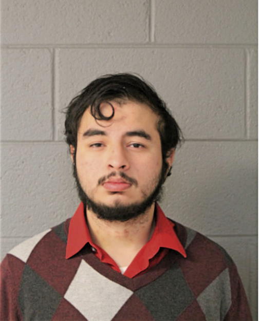 FERNANDO GALLARDO, Cook County, Illinois
