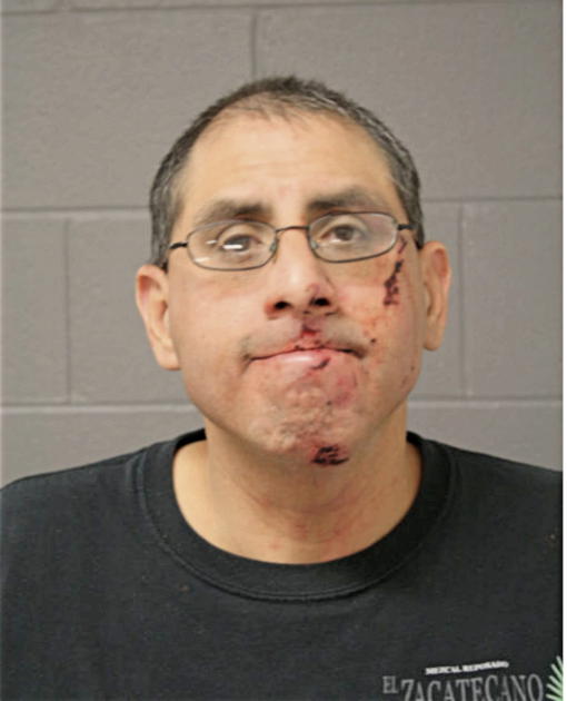 ERASMO J GONZALEZ, Cook County, Illinois