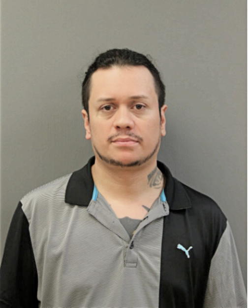 LORENZO GONZALEZ, Cook County, Illinois