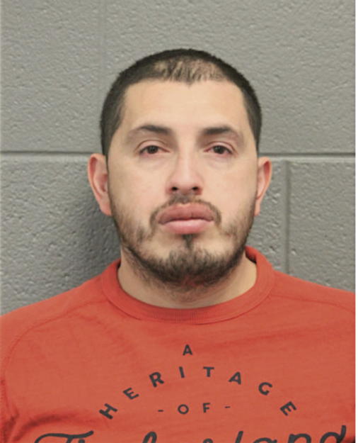 LUIS GONZALO DIAZ-MONTEJO, Cook County, Illinois
