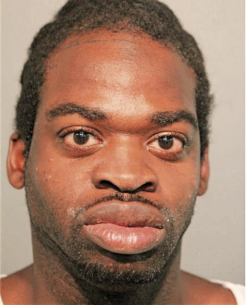 STEVEN J HAYMON, Cook County, Illinois