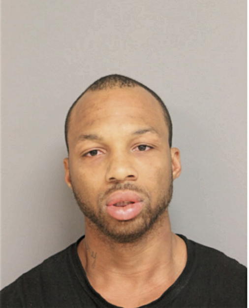 RANDY P HAYNES, Cook County, Illinois