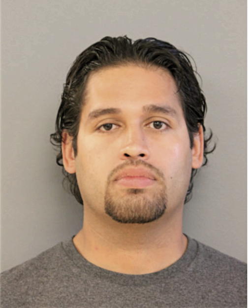 JOHN A HERNANDEZ, Cook County, Illinois