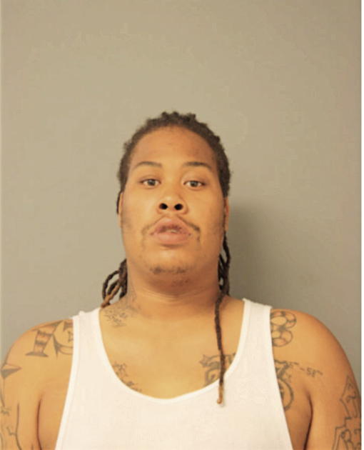 GREGORY M HOLT, Cook County, Illinois