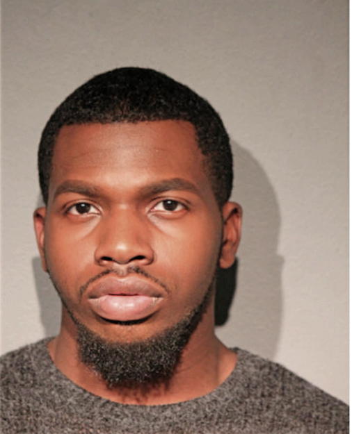 BRIAN K INGRAM, Cook County, Illinois