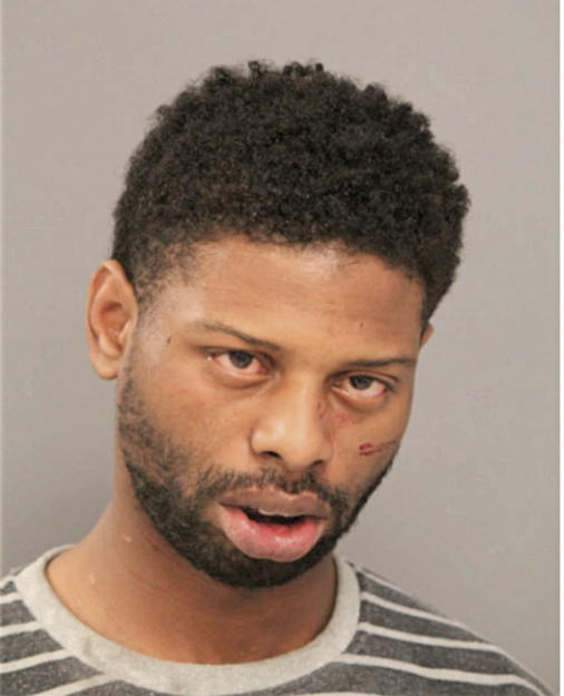 TERRENCE N JOHNSON, Cook County, Illinois