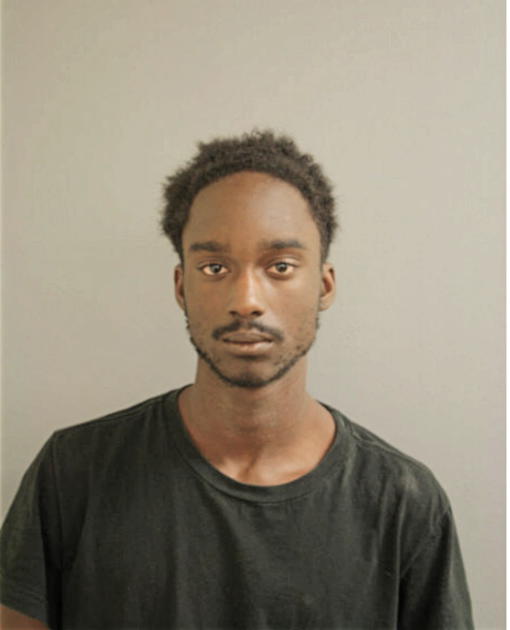 ANTHONY R LEE, Cook County, Illinois
