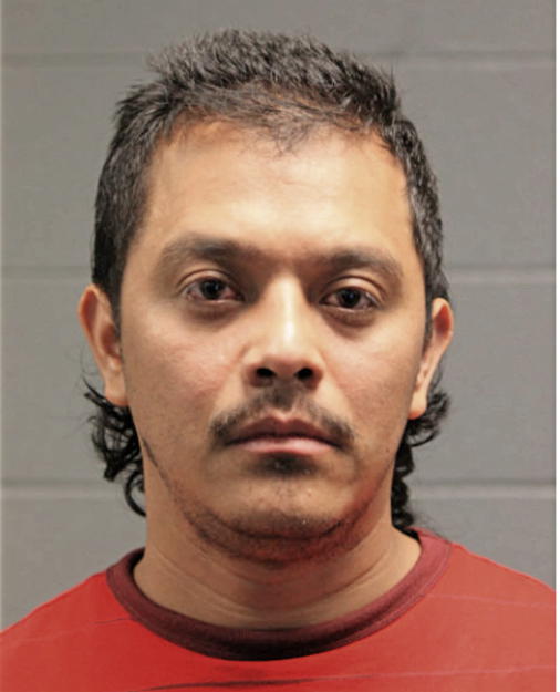 OTHON MANSANARES, Cook County, Illinois