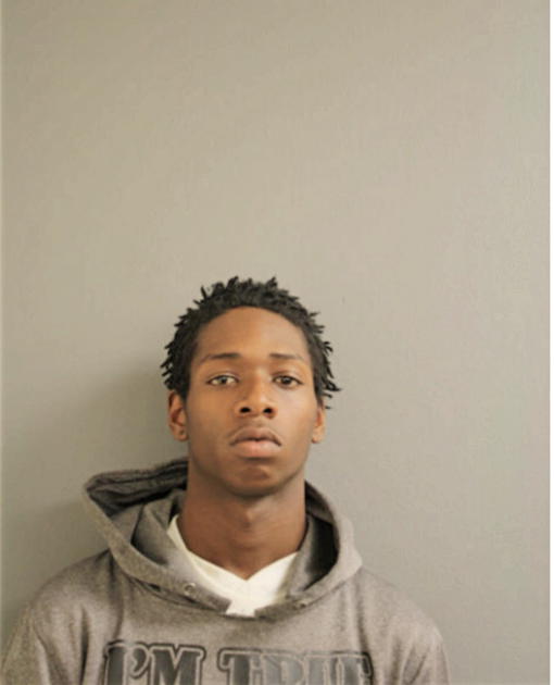 DAVID D MCDANIEL, Cook County, Illinois