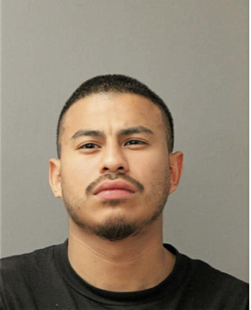 PATRICIO J MENDOZA, Cook County, Illinois