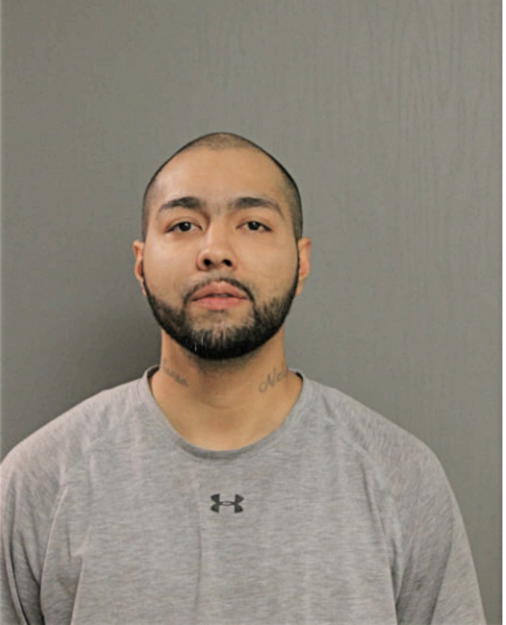 ALEXIS MORALES, Cook County, Illinois