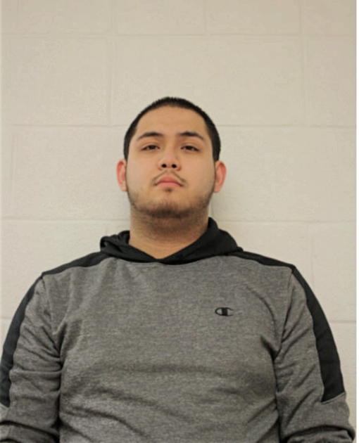 MOHAMMED R MOSHINI, Cook County, Illinois