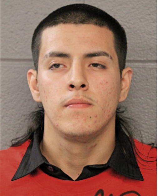 EDWIN NIETO, Cook County, Illinois