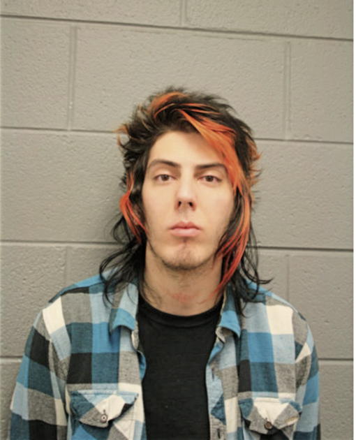 NICHOLAS N POLLETTA, Cook County, Illinois
