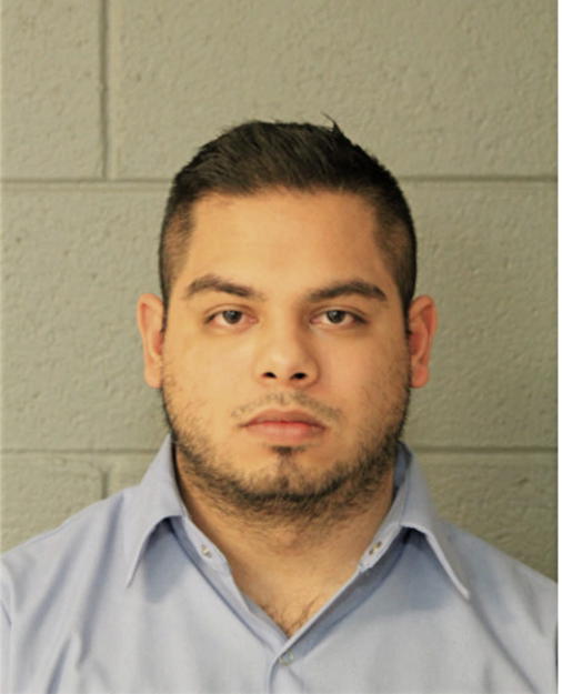 BRYAN D PUERTA, Cook County, Illinois