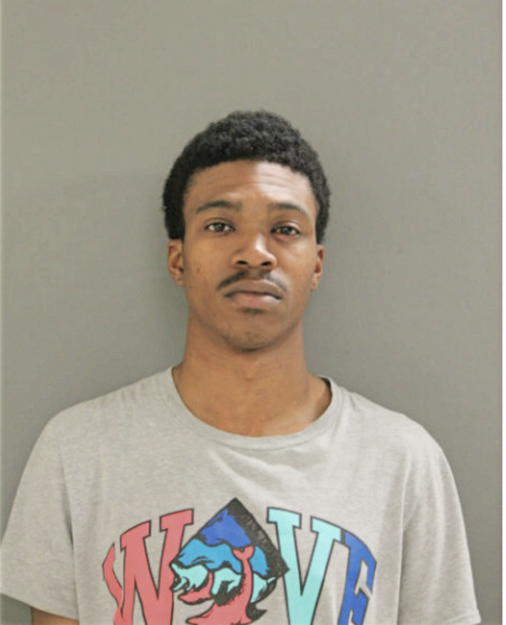 MICHAEL R COBB, Cook County, Illinois