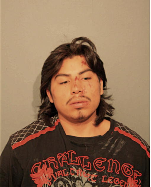 FERNANDO M RUIZ, Cook County, Illinois